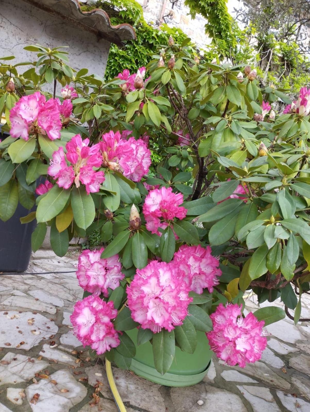 Gite 3 "Le Canal De Baza" Aux Magnolias オーブナ エクステリア 写真