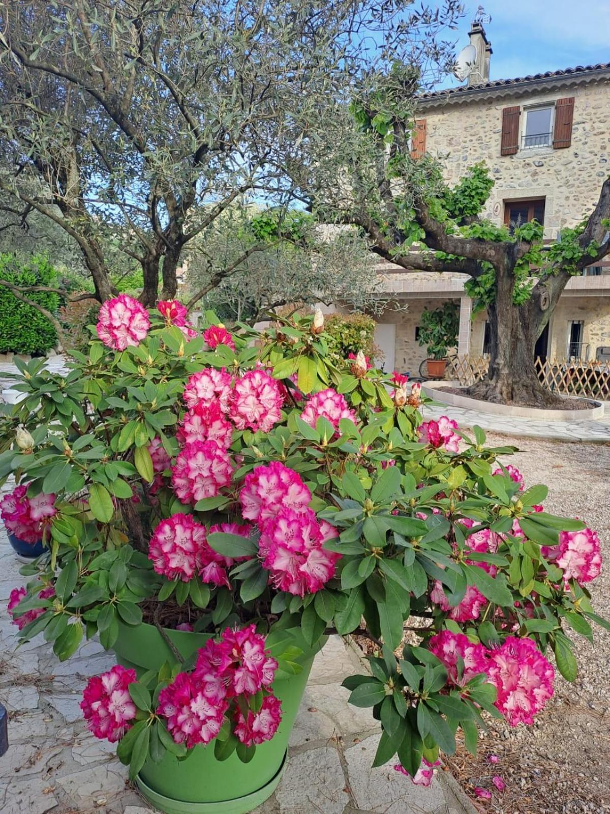 Gite 3 "Le Canal De Baza" Aux Magnolias オーブナ エクステリア 写真