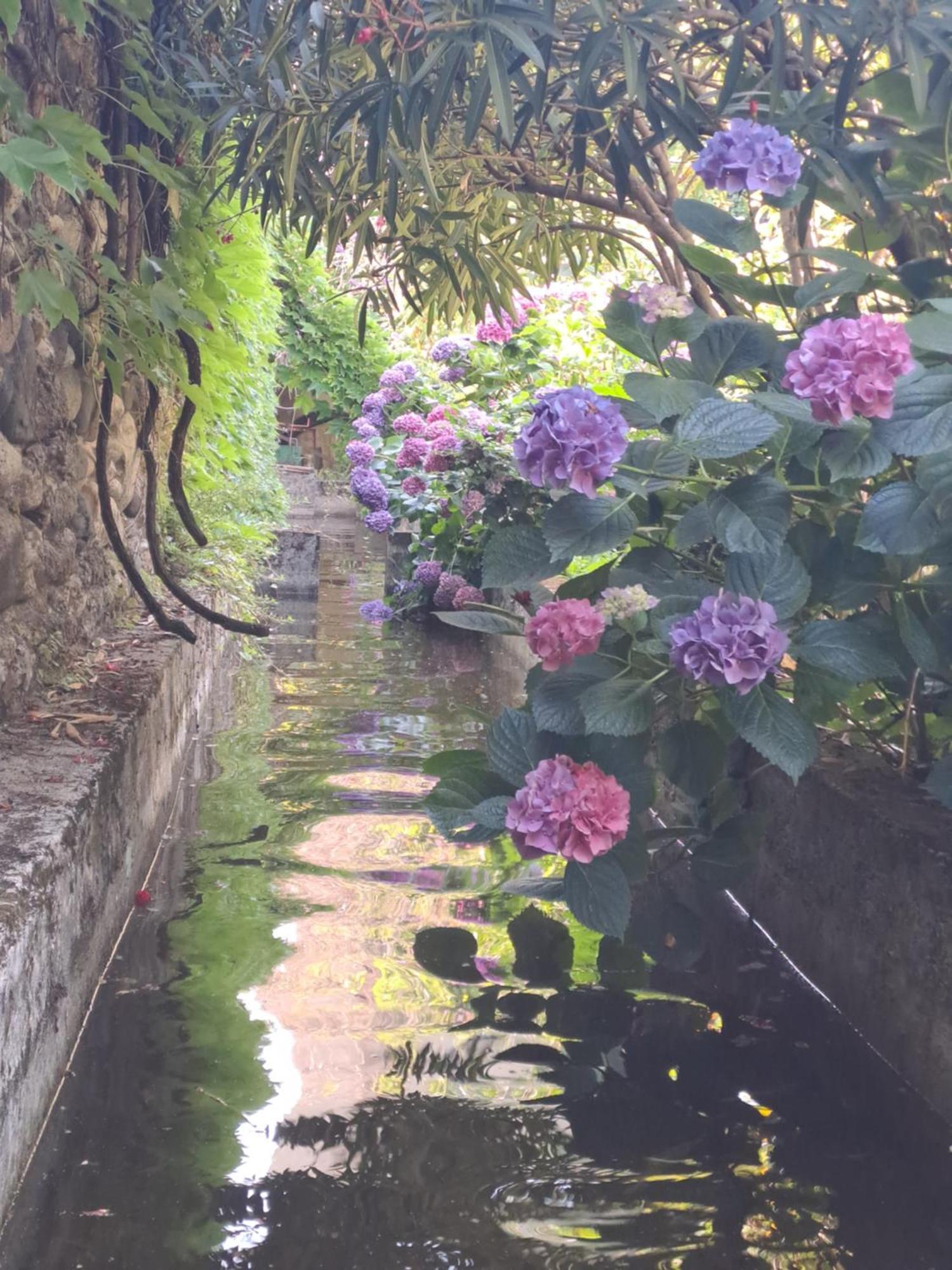 Gite 3 "Le Canal De Baza" Aux Magnolias オーブナ エクステリア 写真