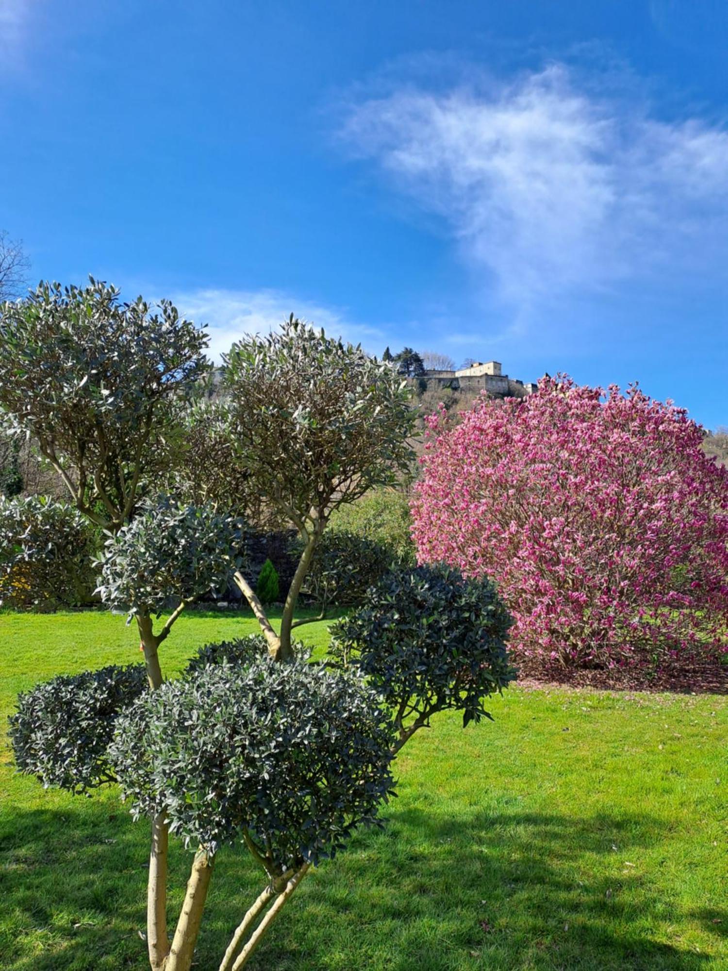 Gite 3 "Le Canal De Baza" Aux Magnolias オーブナ エクステリア 写真